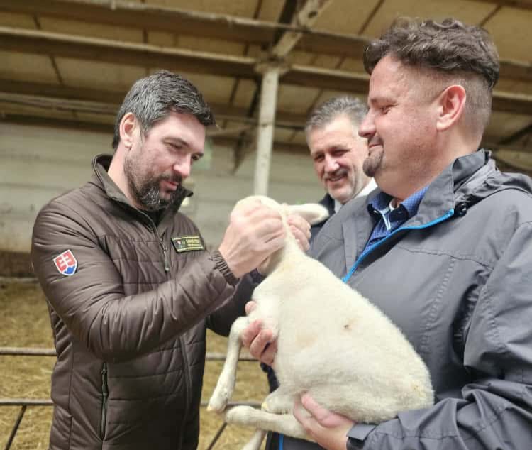 Richard Takáč oznámil dobrú správu: Slovenské ovčiarstvo sa po rokoch poklesu nadýchlo