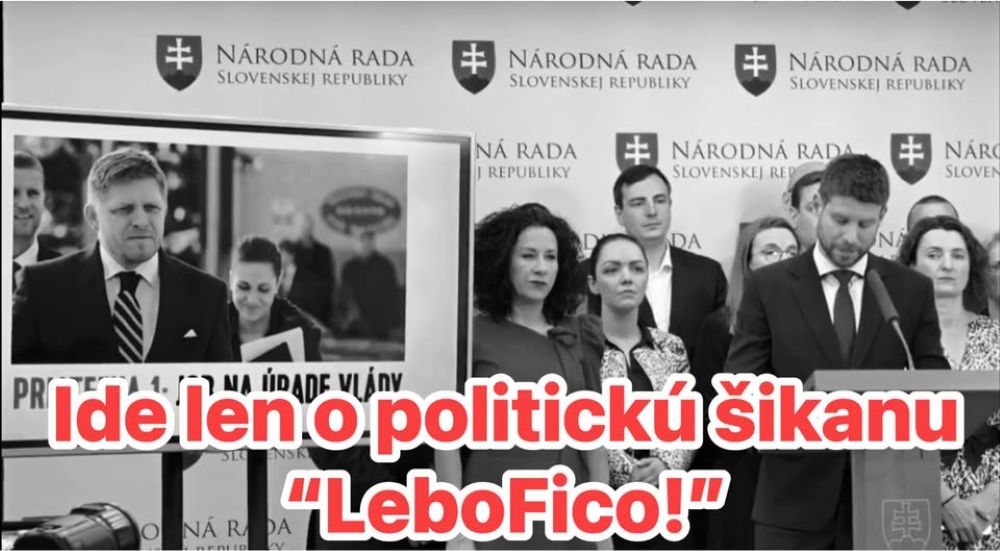 Plevíková rázne: To, čo robia politici z PS-ka je bohapustá politická šikana súkromných osôb na tému „lebo Fico“