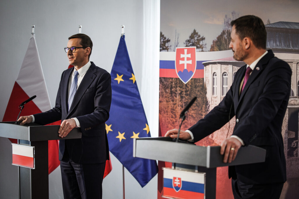 Európska perspektíva. Poľské úrady vyzývajú ľudí na zbieranie palivového dreva v lese