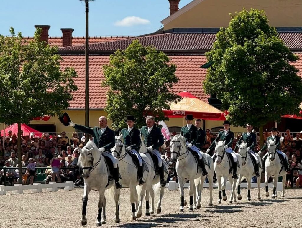 Topoľčianky ožili tradíciou a prírodou: Ministerstvo pôdohospodárstva oslávilo Deň stromu a otvorilo novú sezónu v Národnom žrebčíne