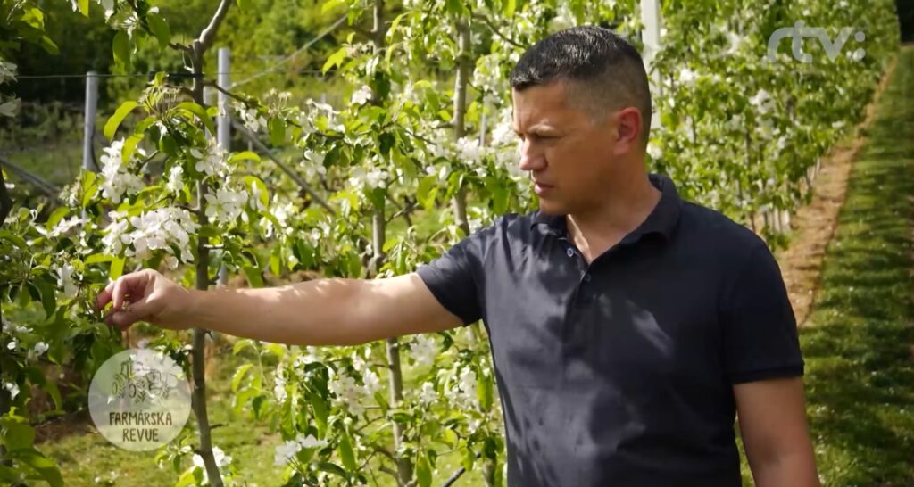 Ako sa starať o rast a ochranu jabloní? Peter Molda v pestovaní jabĺk vyhráva.