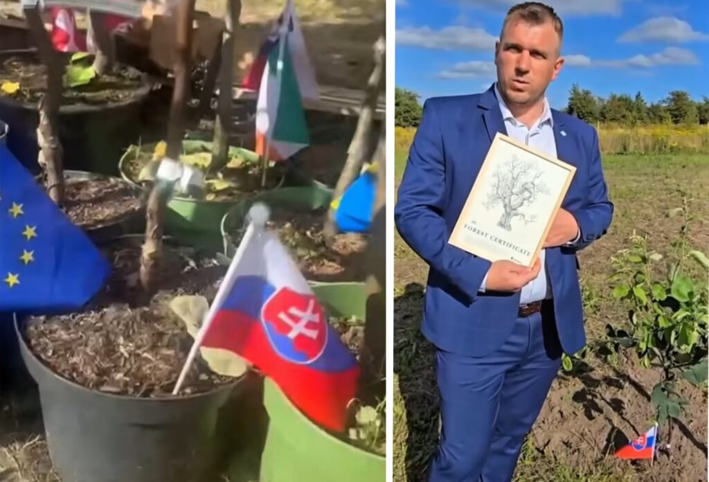 Filip Kuffa: Slovenský ovocný strom v Dánsku