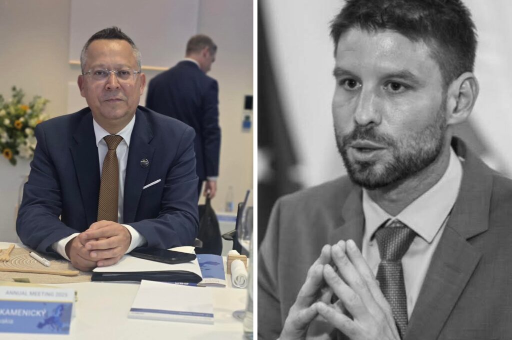 Škodiť, klamať a nerozumieť! Kamenický reaguje na šéfa progresívcov