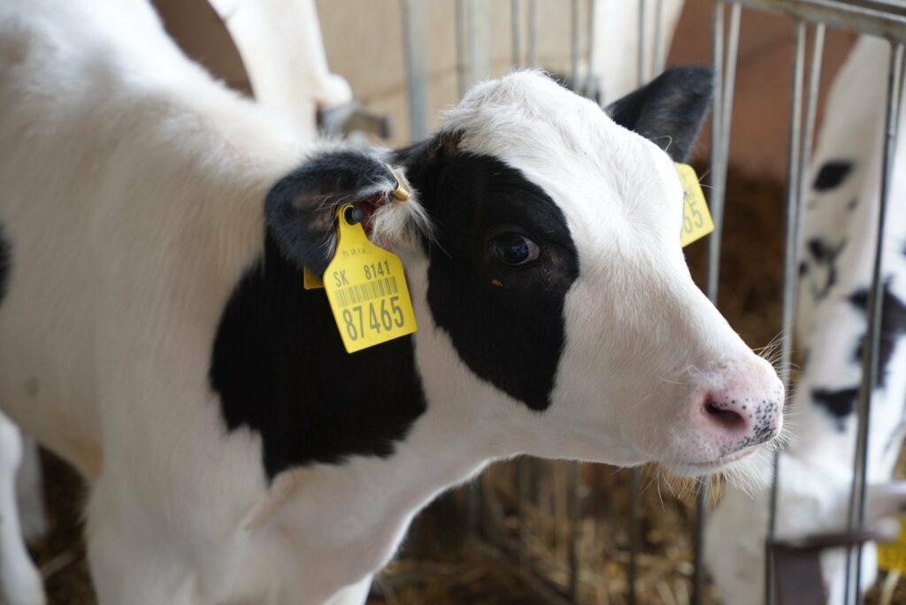 Poďakovanie ministra pôdohospodárstva za zvládnutie mimoriadnej situácie