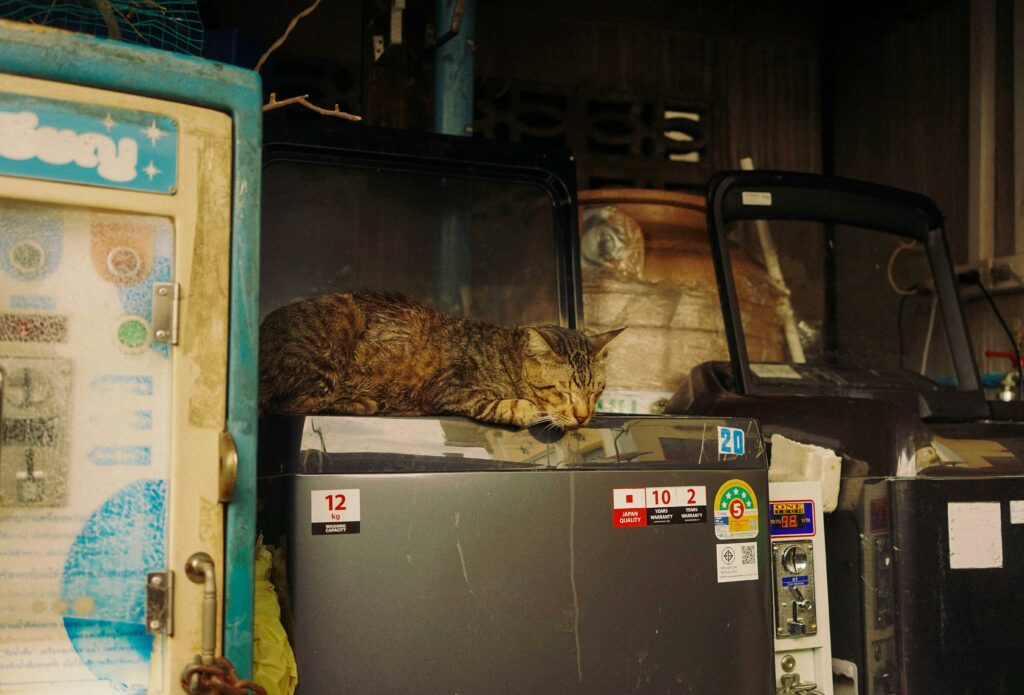 Venezuela má najväčšie overené zásoby ropy. Prečo chcú Štáty zrazu meniť jej politiku?